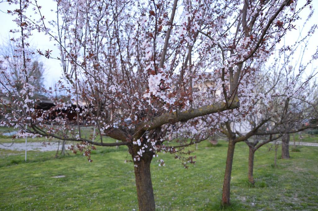Appartamento Casa Della Nonna Noventa di Piave Zewnętrze zdjęcie