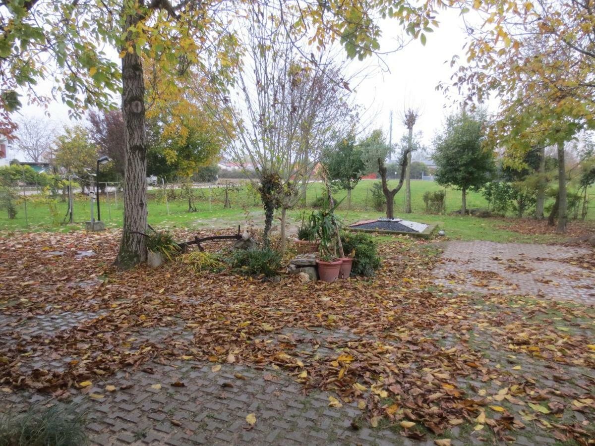 Appartamento Casa Della Nonna Noventa di Piave Zewnętrze zdjęcie